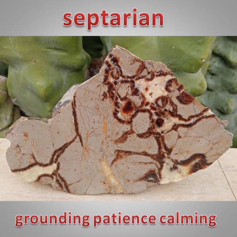 Septarian free form slab rock stone crystal 01 PATIENCE tolerance CALMING